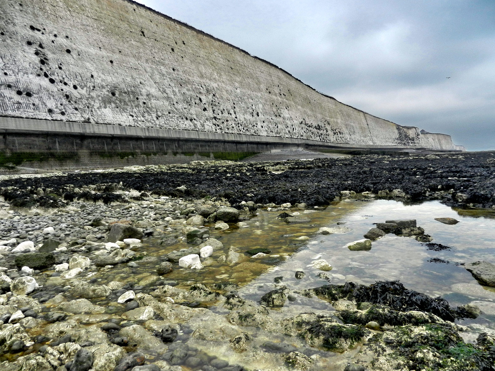 Peacehaven